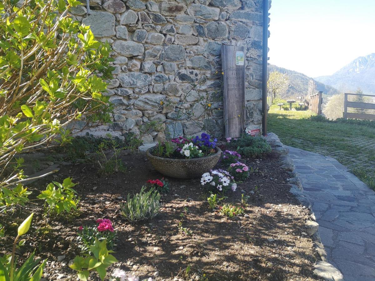 Agritur Maso Gosserhof Frassilongo Kültér fotó